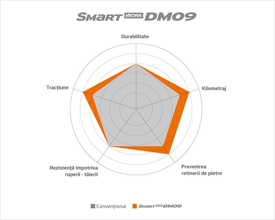 Smart Work DM09 - Rezultatele testării performanței îmbunătățite
